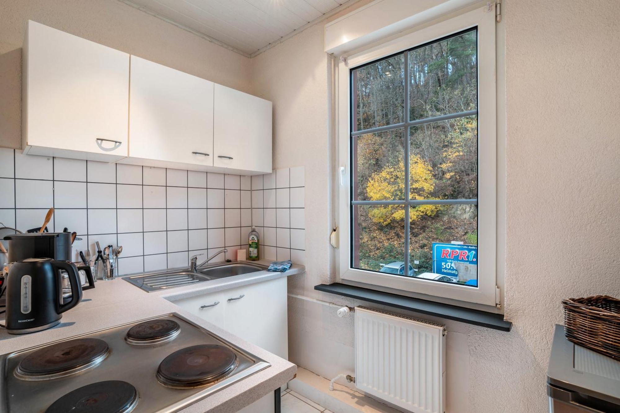 Luise Apartment Bad Bergzabern Exterior photo